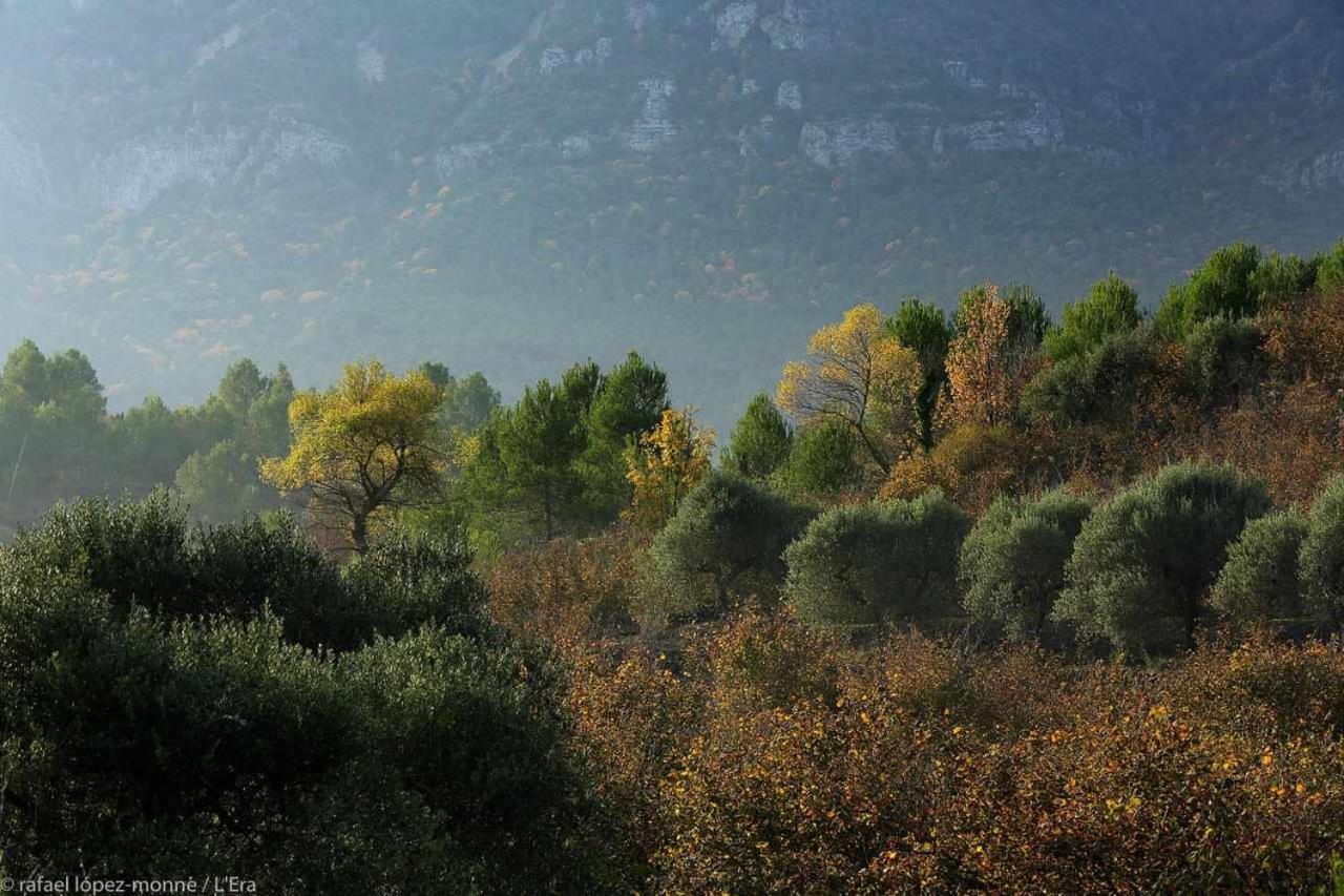 Casa Rural Lera Torre de Fontaubella Buitenkant foto